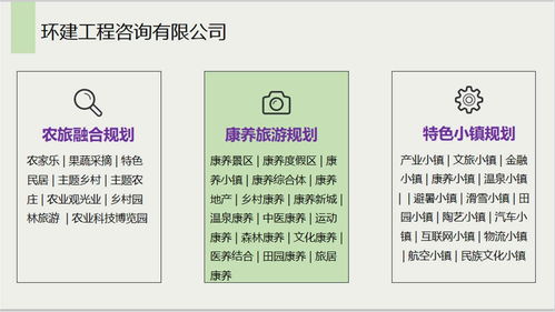 安國社會穩(wěn)定風(fēng)險(xiǎn)評估報(bào)告 信息系統(tǒng)集成服務(wù)公司的專業(yè)能力分析
